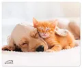 Produktbild: Speedlink SILK Mousepad - Mauspad mit Motiv, weiche Textiloberfläche, antistatisch, 23 x 19 x 0,2 cm, PC Maus Unterlage klein mit Hund und Katze, Tiere