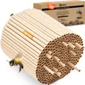 Produktbild: BEESI 600x Nisthülsen für Wildbienen 6 und 8 mm Ø I Wasserabweisend hohe Lebensdauer I Nisthilfe, Zubehör, Füllmaterial für Insektenhotel