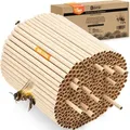 Produktbild: BEESI 600x Nisthülsen für Wildbienen 6 und 8 mm Ø I Wasserabweisend hohe Lebensdauer I Nisthilfe, Zubehör, Füllmaterial für Insektenhotel