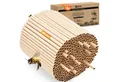 Produktbild: BEESI Insektenhotel 600x Nisthülsen aus Pappe 15 cm lang Durchmesser 6 UND 8 mm gemischt, (Set, 600-St), ‎31,6 x 16,2 x 9,9 cm