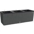 Produktbild: Lechuza® Pflanzgefäß Trio Cottage 100 cm x 32 cm x 34 cm Granit