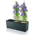 Produktbild: Lechuza Blumenkasten TRIO Cottage 30 Trendserie Komplett-Set granit 15003