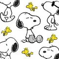 Produktbild: 20 Servietten Snoopy + Woodstock Snoopy spielt mit Woodstock Peanuts 33x33cm