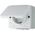 Produktbild: JUNG WG600 Auputz 620WX 1 fach Steckdose grau IP44