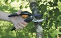 Produktbild: Fiskars SingleStep Bypass-Gartenschere Gartenwerkzeug Baumschere Schere