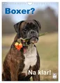 Produktbild: Boxer? Na klar! (Wandkalender 2026 DIN A4 hoch), CALVENDO Monatskalender Yvonne