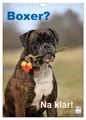 Produktbild: Boxer? Na klar! (Wandkalender 2026 DIN A4 hoch), CALVENDO Monatskalender