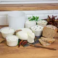 Produktbild: Mikrobiologisches Lab Flussig für Käse 50ml