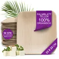 Produktbild: Bio Palmblatt Teller - 50 Einwegteller eckig 23x23 cm - Premium Einweggeschir...