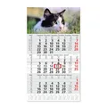 Produktbild: Timr 3-Monatskalender 2026 Jahresübersicht - 53 cm - International mehrsprachig D/GB/F/I/E/NL - Wandkalender mit Schieber - Motiv Katze I tr352