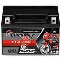 Produktbild: BlackMax YTZ14-S Motorradbatterie GEL 12V 12Ah YTZ14-4 Batterie GTZ14-4 51201