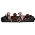 Produktbild: tierlando® Tierbett tierlando® Orthopädisches Hundebett GOOFY für große Hunde XL–XXX, Polyester, Matratzenschoner inklusive schwarz 185 cm x 115 cm
