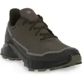 Produktbild: Salomon Wanderschuhe für Herren in unifarben uni S24-0012410 - Braun - 43