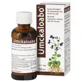 Produktbild: Umckaloabo flüssig 50 ml