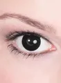 Produktbild: Hexe Farbige Jahreslinsen ohne Stärke - Halloween Karneval - Schwarze