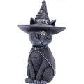 Produktbild: Nemesis Now Purrah Figurine Chat Occulte Chapeau de sorcière Noir 13,5 cm (NEMN-B5238S0)