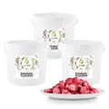 Produktbild: GreatVita Erdbeerscheiben 3x 400g | gefriergetrocknete Erdbeeren in Scheiben