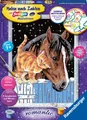 Produktbild: Fohlen mit Kätzchen. Malen nach Zahlen Serie D Romantik (2017, Game)