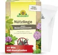Produktbild: Neudorff Nützlinge gegen Dickmaulrüssler – 10 Mio. HM-Nematoden