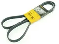 Produktbild: 6PK1660 CONTI KEILRIPPENRIEMEN - BMW CITROEN HYUNDAI KIA PEUGEOT RENAULT