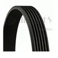 Produktbild: Continental Ctam 6PK1660 Keilrippenriemen für Audi VW Skoda Seat Peugeot Renault