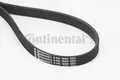 Produktbild: CONTINENTAL CTAM 6PK1660 V-Ribbed Belt for  AUDI BMW CITROËN FIAT HYUNDAI KIA LA