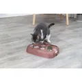 Produktbild: Trixie Katzen Intelligenzspielzeug Soccer Training Leckerlie Snack Spühlmaschine