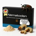 Produktbild: Nematoden gegen Gartenlaubkäfer. Engerlinge wirksam bekämpfen 50 Mio für 100 m²
