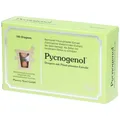Produktbild: Pycnogenol®
