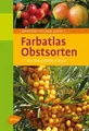 Produktbild: Farbatlas Obstsorten | Buch | Zustand sehr gut