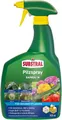 Produktbild: Substral Pflanzen-Pilzfrei Substral Pilzfrei Saprol N 800 ml - anwendungsfertiges Fungizid
