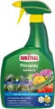 Produktbild: Substral Pilzfrei Saprol N 800 ml - anwendungsfertiges Fungizid