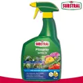 Produktbild: Substral 800 ml Pilzspray Saprol Gesundheit Obst Gemüse Beetpflanzen