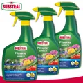 Produktbild: Substral 3 x 800 ml Pilzspray Saprol Gesundheit Obst Gemüse Beetpflanzen