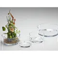 Produktbild: Glasschale Dekoschale von Sandra Rich Serie AUTOMATIC rund 14cm