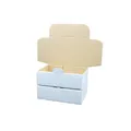 Produktbild: Maxibriefkartons Maxibrief Versandkarton für DHL DPD GLS Deutsche Post Hermes Warensendung Büchersendung mit Steckverschluss (Weiß, 50x MB1-160 x 110 x 50 mm)