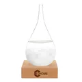 Produktbild: Sturmglas Mode Kreative Wassertropfen Glas Barometer Wettervorhersage Flasche...