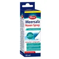 Produktbild: Abtei Meersalz Nasen Spray · 20 ml · PZN 16893833