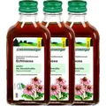 Produktbild: Schoenenberger Echinacea Saft Sonnenhut 3X200 ml