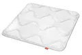 Produktbild: sleepling Baby Bettdecke 80x80 cm, 4 Jahreszeiten Decke für Babys, Kinder Vierjahreszeiten Steppdecke 80 x 80 cm, Babydecke, Kinderdecke, Made in EU, Oeko-TEX, Waschbar 60 Grad