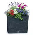 Produktbild: Prosperplast Blumenkasten mit Einsatz | aus robustem Kunststoff | Anthrazit | wetterfest und UV-beständig | 58 x 18 x 49,8 cm | ideal für Garten, Terrasse und Balkon