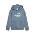 Produktbild: Puma Unisex Kinder No. 1 Logo Hoodie FL Ps Sweatshirt, Cool Blue, 110 EU