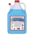 Produktbild: Scheibenfrostschutz Konzentrat 5 L bis -60 °C Schnabelkanne Frostschutz für Scheibenwaschanlage