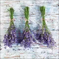 Produktbild: Ambiente Servietten Lunchservietten 33 cm / 20 Stck Packung Lavendel Landhaus Garten lavender bouquets