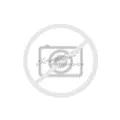 Produktbild: Sommerreifen 245/65 R17 107S Goodride Terra Legend SL-399 | 15305