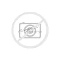 Produktbild: Sommerreifen 245/65 R17 107S Goodride Terra Legend SL-399 | 80636