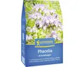 Produktbild: Gründünger Kiepenkerl Phacelia 0,4 kg für 100 m²