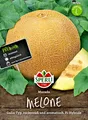 Produktbild: Melone MASADA F1  Galia Typ zuckersüß-aromatisch Melonen  Samen81524