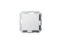 Produktbild: Gira Blindabdeckung rws-gl mit Tragring 026803)