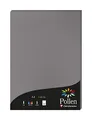Produktbild: Clairefontaine 4283C Packung mit 50 Karten Pollen 120g, DIN A4, 21 x 29,7cm, Dunkelgrau